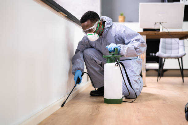 Real Estate Pest Inspections in Western Lake, TX